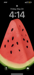 Homemyaantrox
