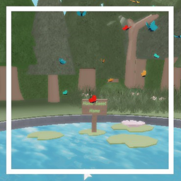 Pond