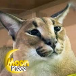 [Sukuna Update] Moon Piece