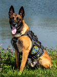 Jayden's K9 Division Group
