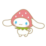 ‘’Sanrio Store’’