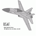 Black Skull Air Force