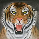 Tiger Clothing Creations