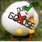 #Ducks Better Then Goose