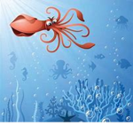 ~Squids Clothing~