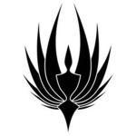 The Feathered Pirates