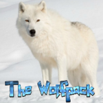 "The Wolfpack"