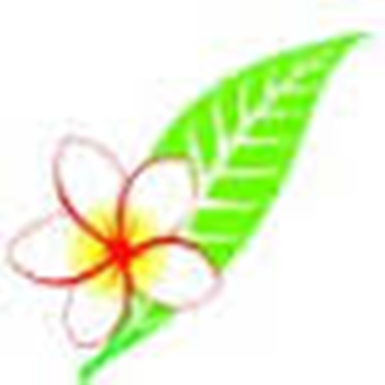 VLPS | Pakse International Airport