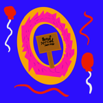 Donut special