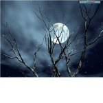 Midnight~Assault~Recon