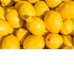 LEMON PEOPLE/GANG