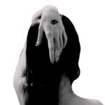 [FDD] CLAN