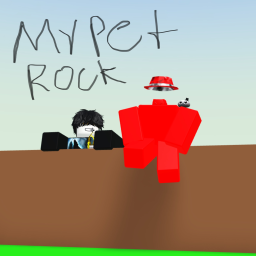 My pet rock