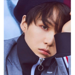 Bangtan Boys fandom group