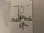 ACORN T