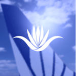 FlyVera Airways