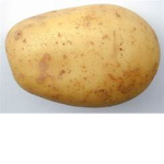 THE TATERS