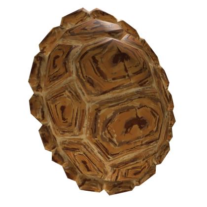 Turtle Back Shell