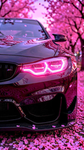 - F I R U P L A Y -