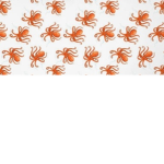 Squids and octopus