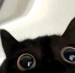 hiiiiiiiiiiiiiiiiiiiiii guys