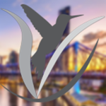 FlyVector