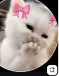 ιѕℓααα