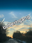 Gang Bobert7564