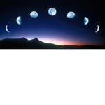 The Luna Crew