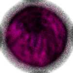 the penrumba cell