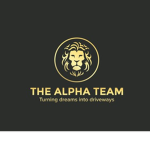 <{Alpha Team}>