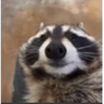 Onett Nikkipanda fan club