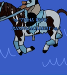 Tidal Wave Horse Riding Academy