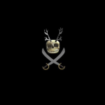 .the Silver pirates