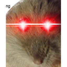 40%