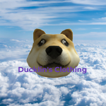 Ducklin's Clothing