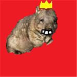 Club Wombat Navy