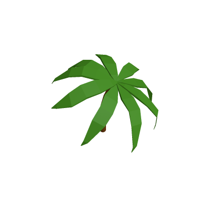 Palm Tree