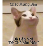 Đế Chế Mất Não