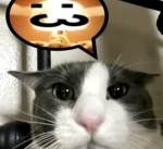 Goobertowny
