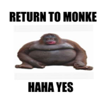 MONKE GROUP YESSS