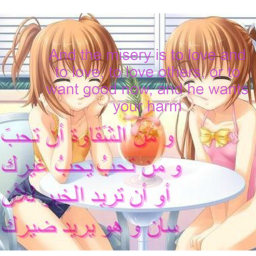 ✧｡