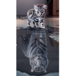 The super kittes