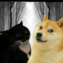 survive doge the killer chapter 2