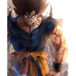 Clothing GOKU