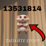 hamsters crew