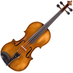 the fiddles
