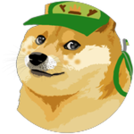 Scout Doge
