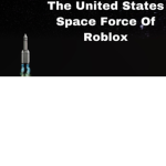 •-UNITED STATES SPACE FORCE-•