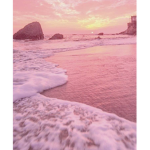 Pinky’s paradise